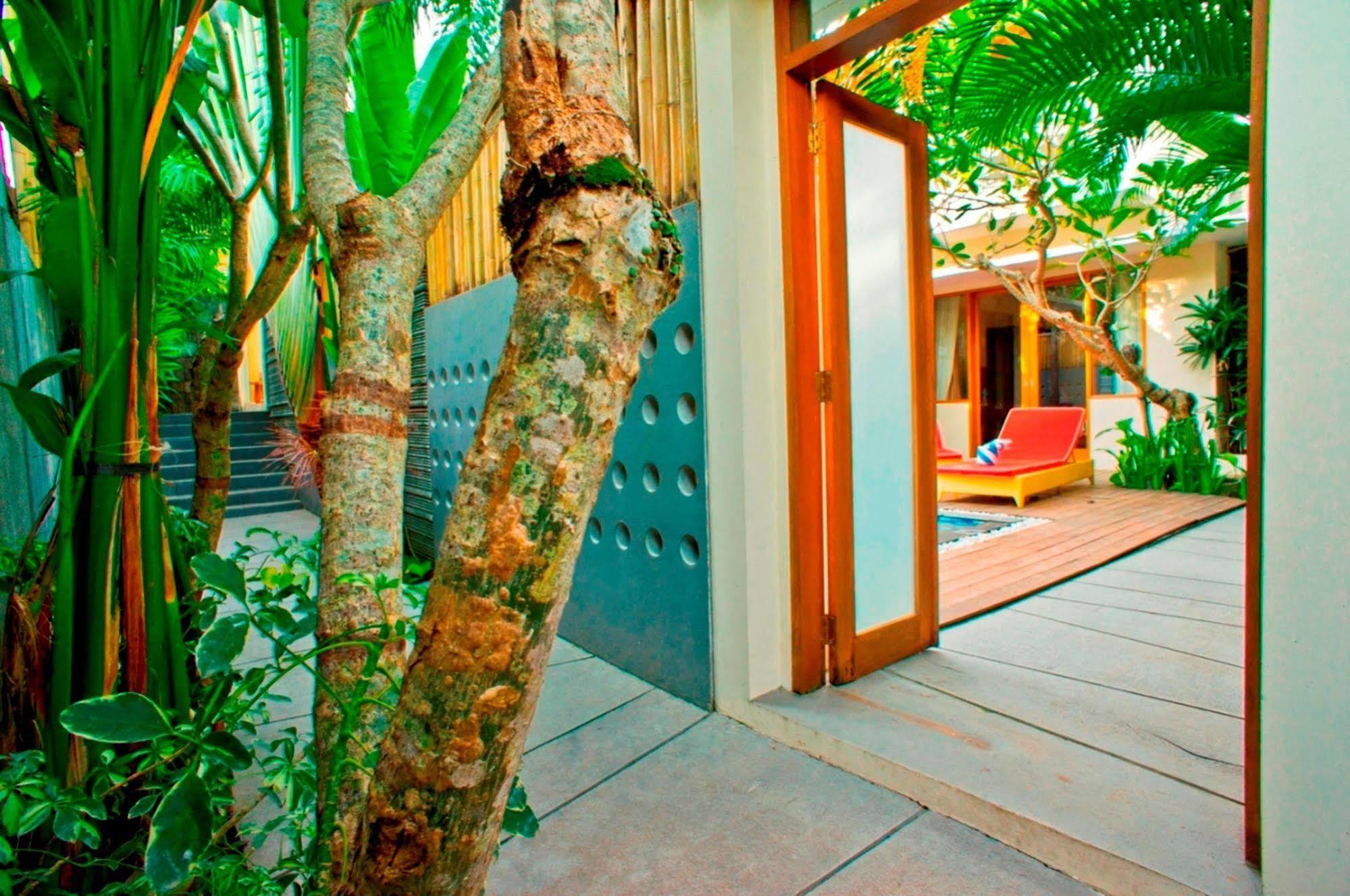 Villa Travis เซมินยัค ภายนอก รูปภาพ